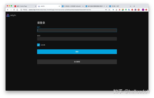蜗牛星际与Jellyfin 打造您的私人全能媒体服务器